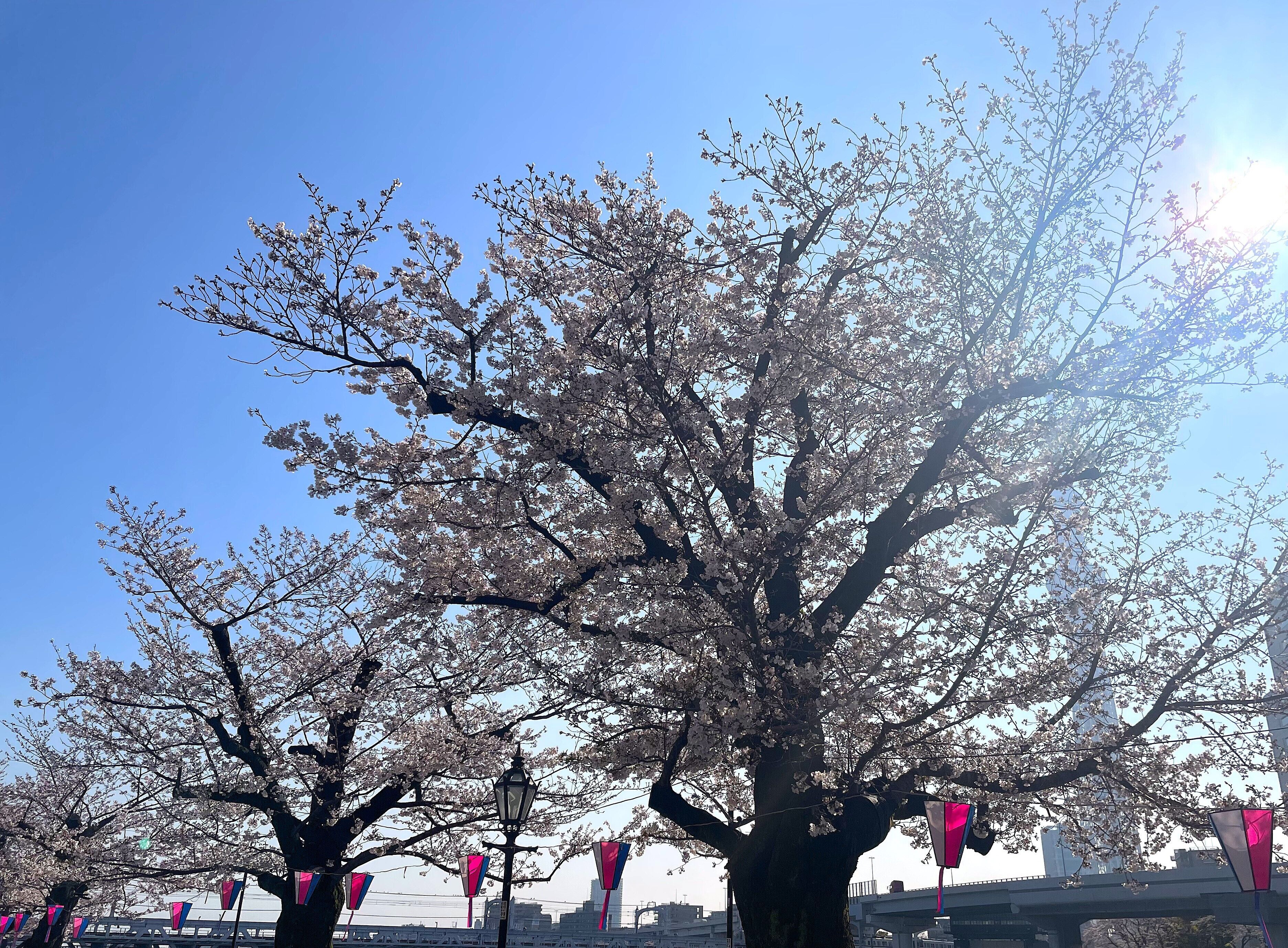 施設からの眺望