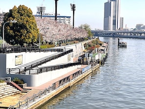 Uitzicht vanuit accommodatie