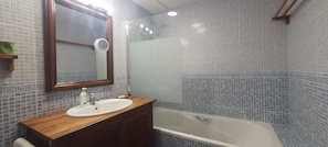 Shower, hair dryer, bidet, towels