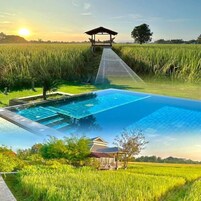 Piscina com vista para um campo de arroz e um gazebo ao fundo.