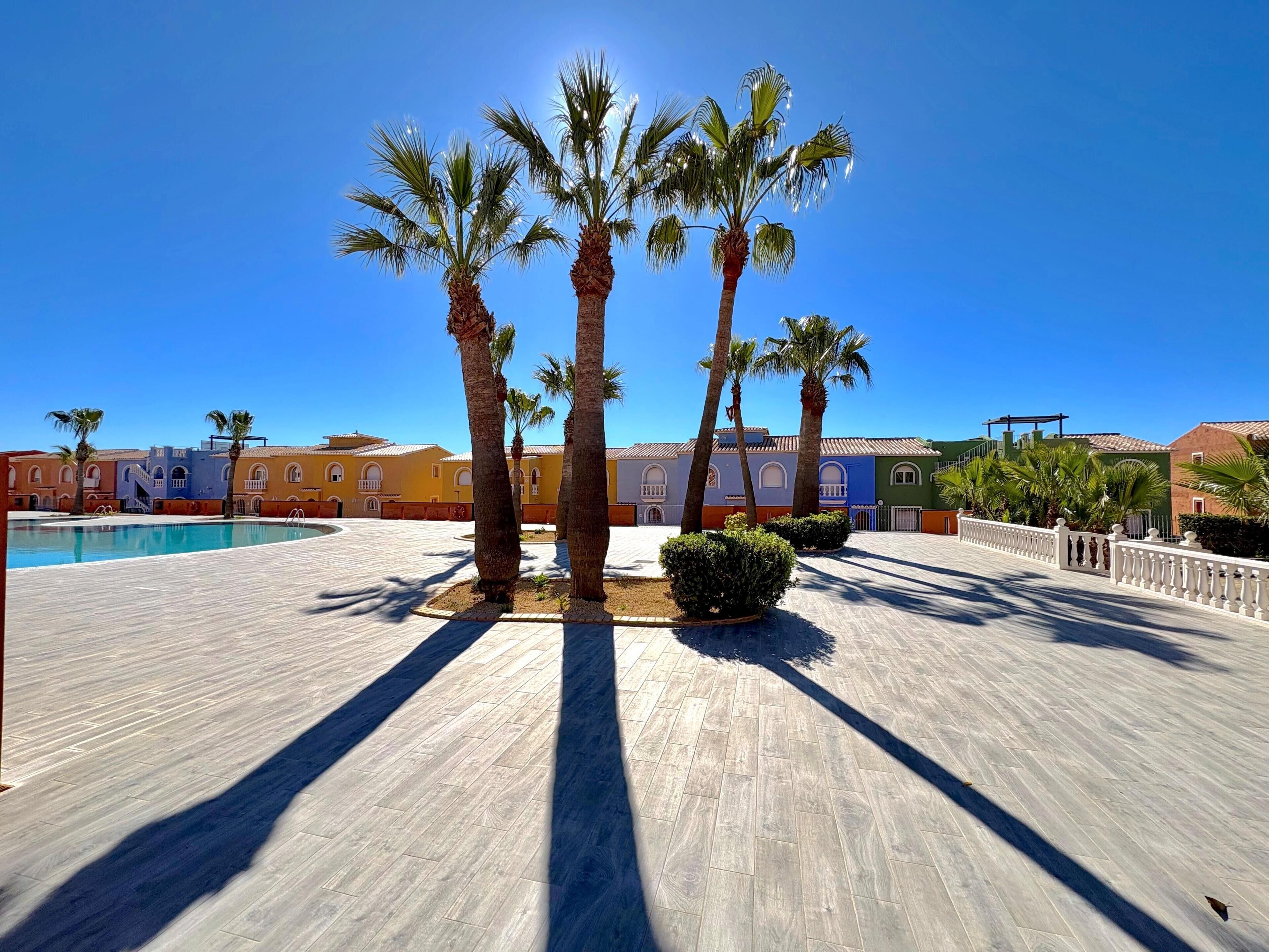 A pool area with palm trees and a tiled walkway.