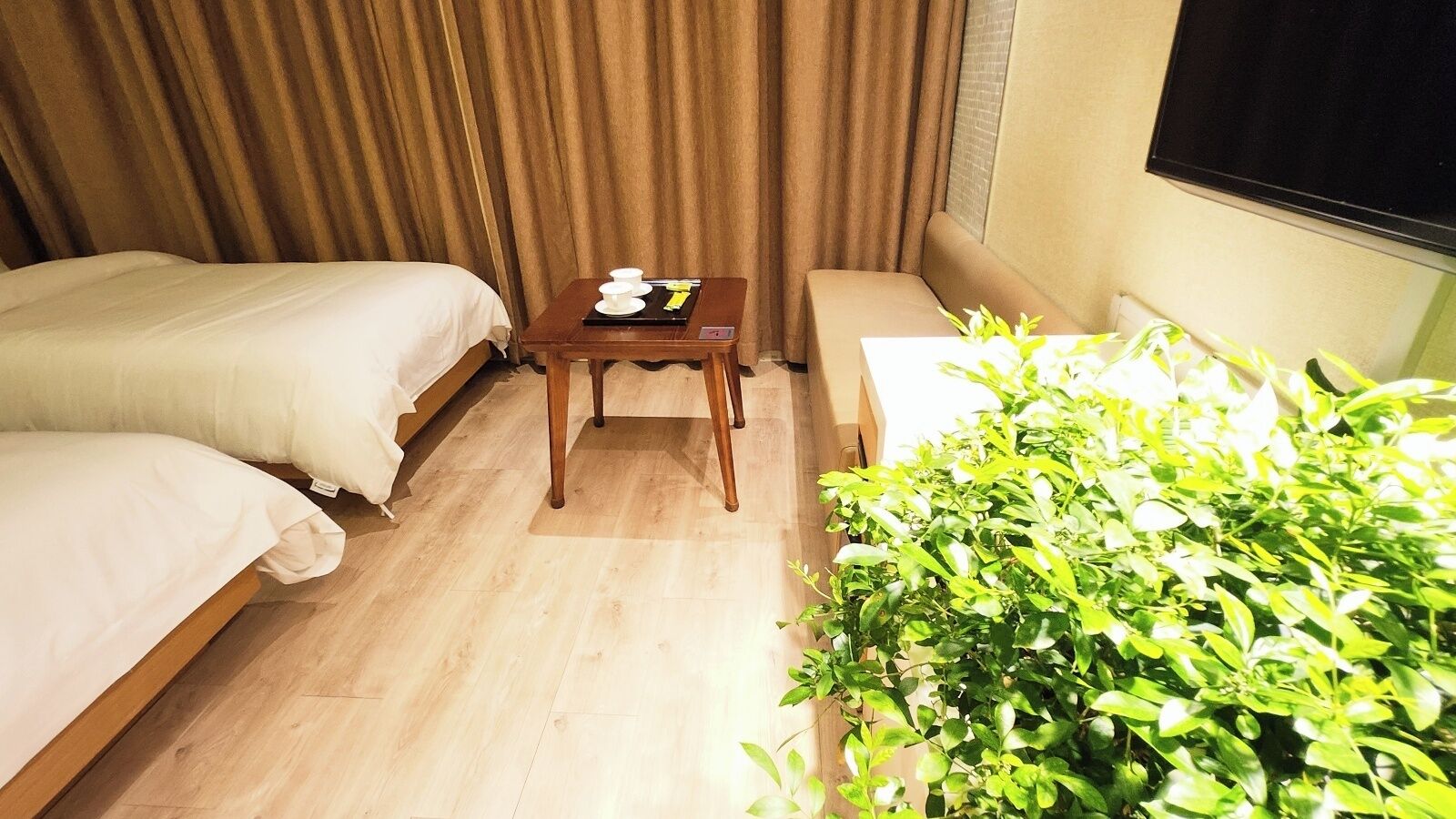 Habitación de hotel con dos camas, una mesita con bandeja, un sofá y una planta en maceta.