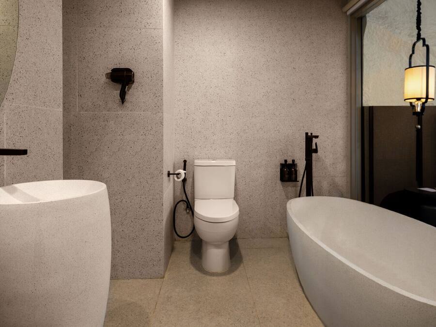 A modern bathroom with a freestanding bathtub, a large sink, and a toilet.