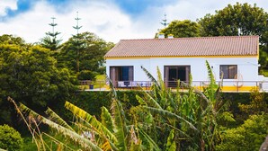 A white building with a tiled roof, surrounded by lush greenery and tall trees. - Quinta do Ananás Pineapple Farm (Ponta Delgada)