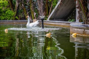 Unterkunftsgelände