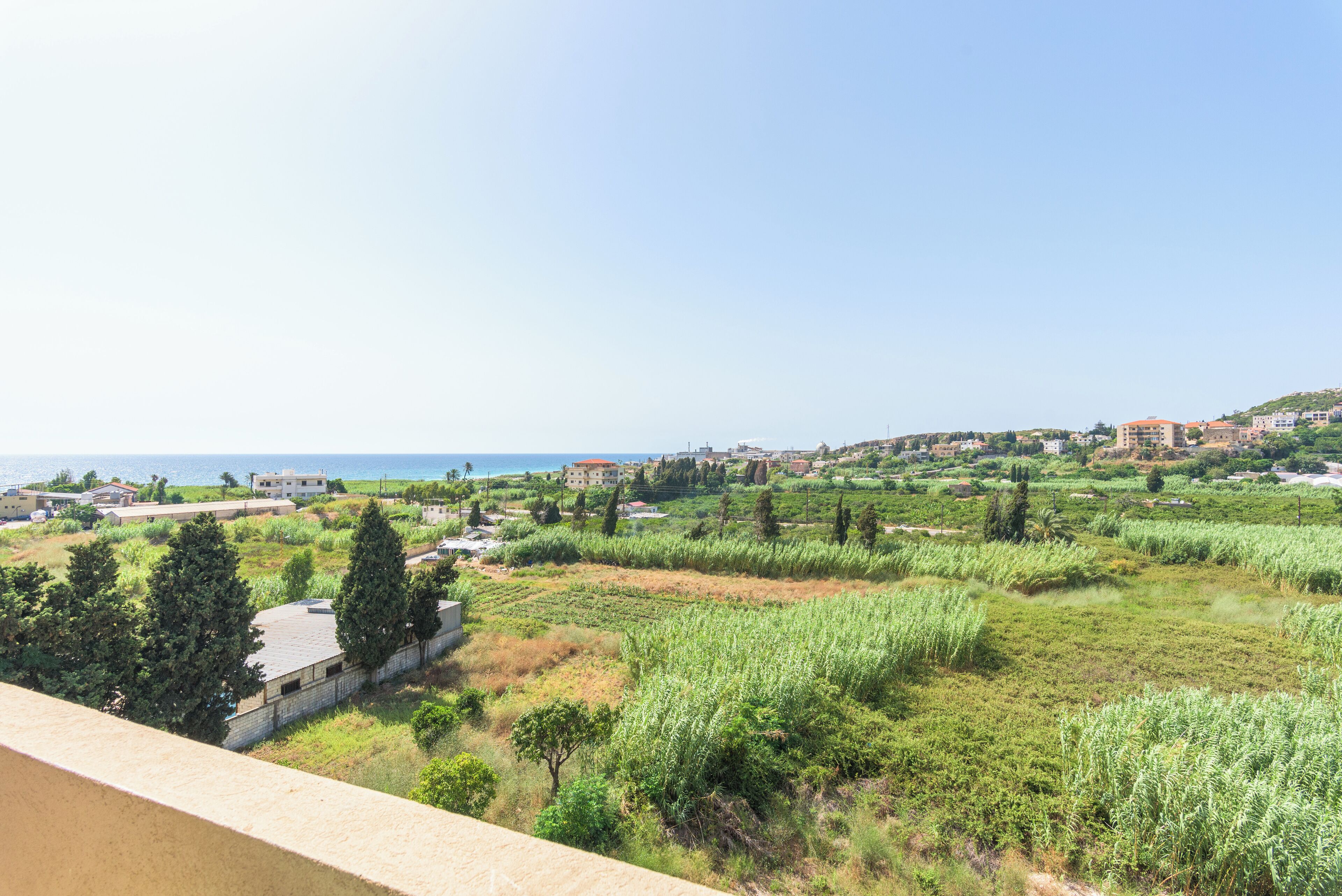 Eine Küstenlandschaft mit Gebäuden, Grünflächen und blauem Himmel.