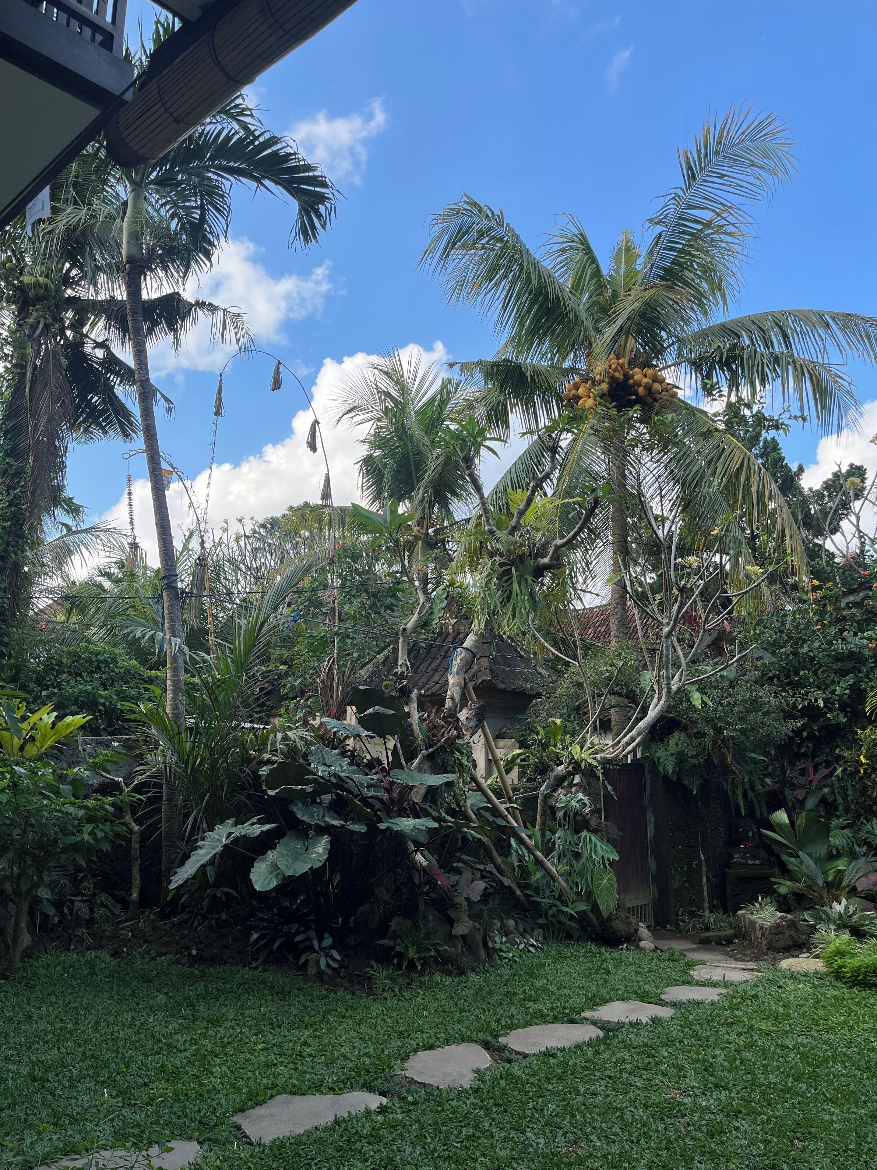 Suite, balkon, pemandangan kebun | Pemandangan taman