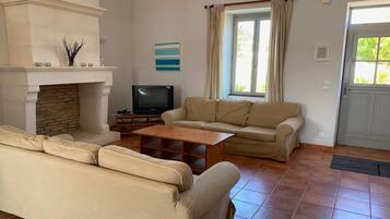 TV connectée, cheminée, lecteur de DVD