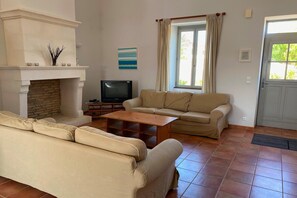 TV, fireplace, DVD player