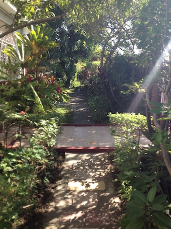 A narrow garden pathway with a red mat, surrounded by dense foliage and trees.