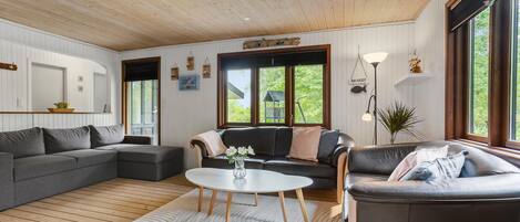 Fernseher, Kamin