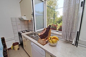 Fridge, oven, stovetop, dishwasher