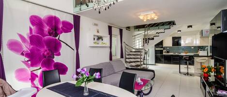 Älytelevisio, DVD-soitin