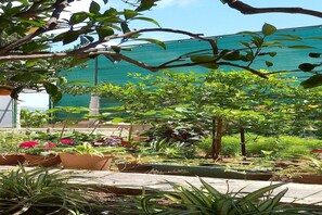 المنطقة المحيطة بالمنشأة