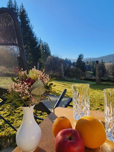 Alte Schmiede Holiday Home – Schluchsee Apartment