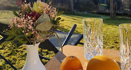 Alte Schmiede Holiday Home – Schluchsee Apartment