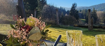 Alte Schmiede Holiday Home – Schluchsee Apartment