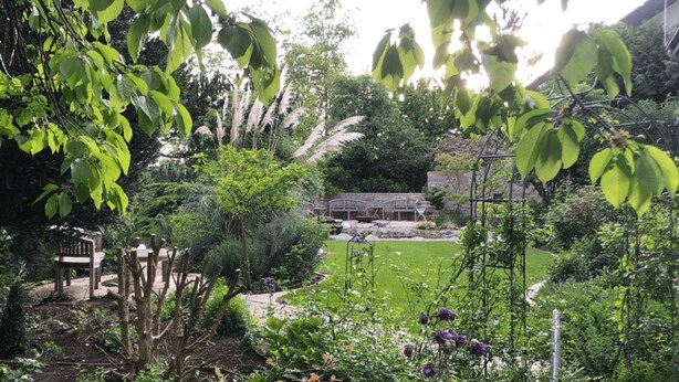 Un jardin avec un banc en bois, un mur en pierre et une tonnelle en métal.