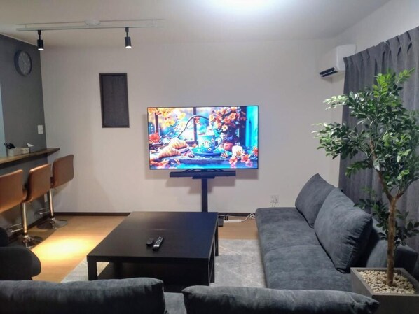 Flat-screen TV