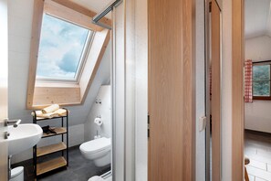 Shower, hair dryer, towels - Löcherhansenhof: Apartment 7 with Mountain View, Shared Terrace and Wi-Fi (Bad Peterstal-Griesbach)