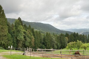 Un espace extérieur clos, avec un cheval, des arbres et une chaîne de montagnes en arrière-plan.