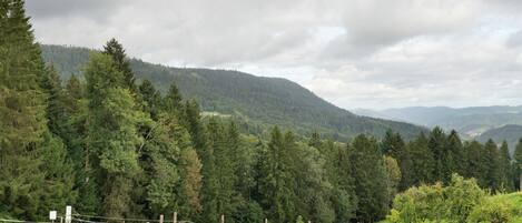 A fenced outdoor area with a horse, trees, and a mountainous backdrop.