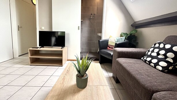 Un salon moderne avec un téléviseur posé sur un meuble en bois, un canapé agrémenté d’un coussin à pois, une table basse avec une plante, et une porte coulissante donnant accès à une zone douche.