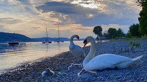 Beach nearby - Lake Constance Holiday Home Brunnenberg – Relaxation Close to the Lake (Sipplingen)