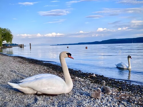 Bodensee Feriendomizil Brunnenberg – Entspannung in Seenähe
