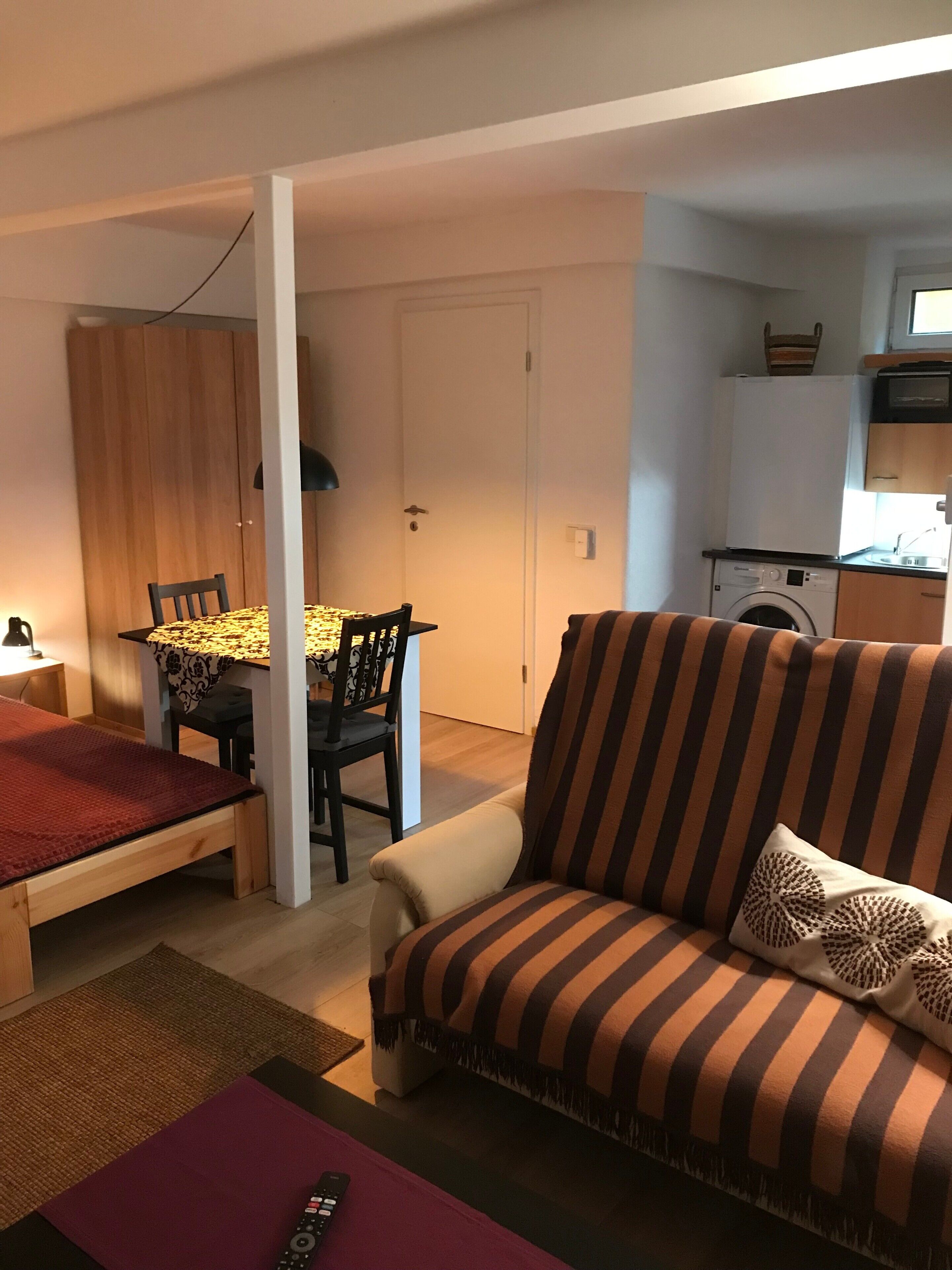A compact living space with a sofa, a dining table with chairs, a bed, a washing machine, and a kitchenette.