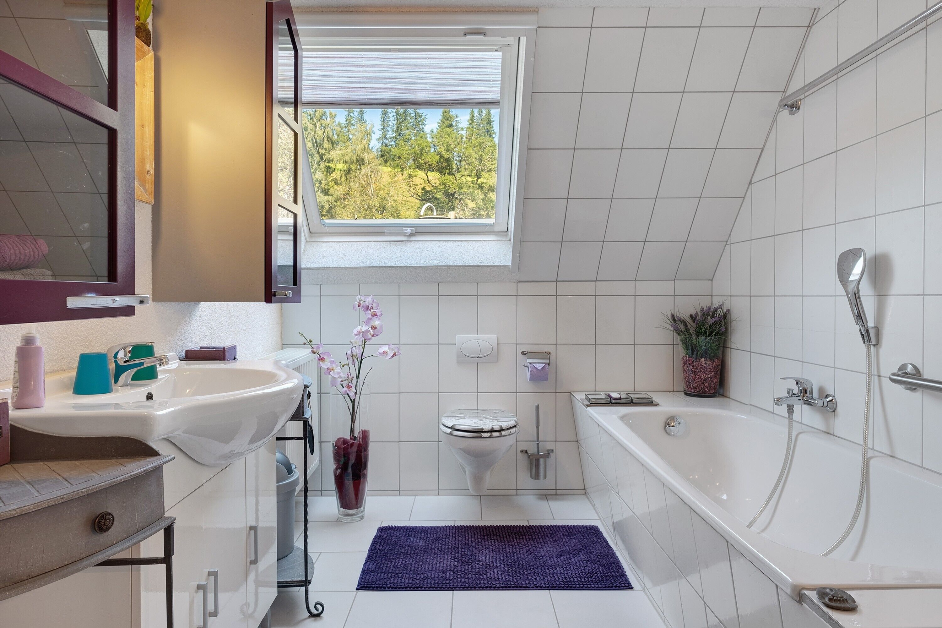 Douche, séchoir à cheveux, serviettes fournies