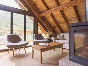 Televisión, chimenea, libros y estéreo