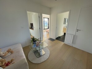 Smart TV, fireplace, DVD player, books