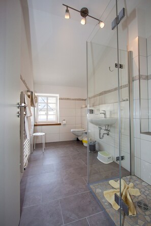 Shower, hair dryer, towels - Apartment 'Kuhstall' with Shared Terrace, Shared Garden and Wi-Fi (Schmallenberg)