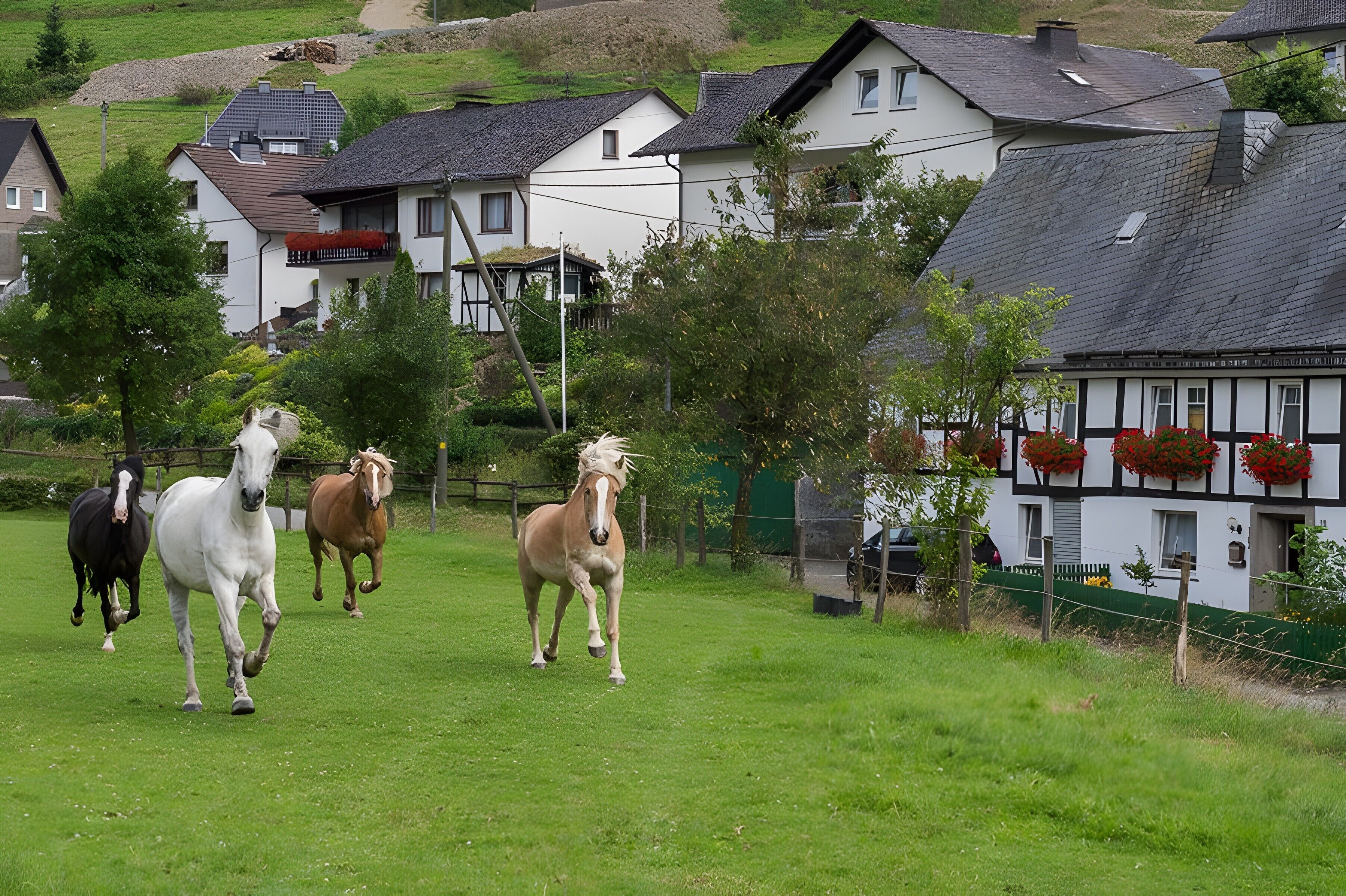 Ländliche Szene mit Häusern, einer grünen Wiese und Pferden.
