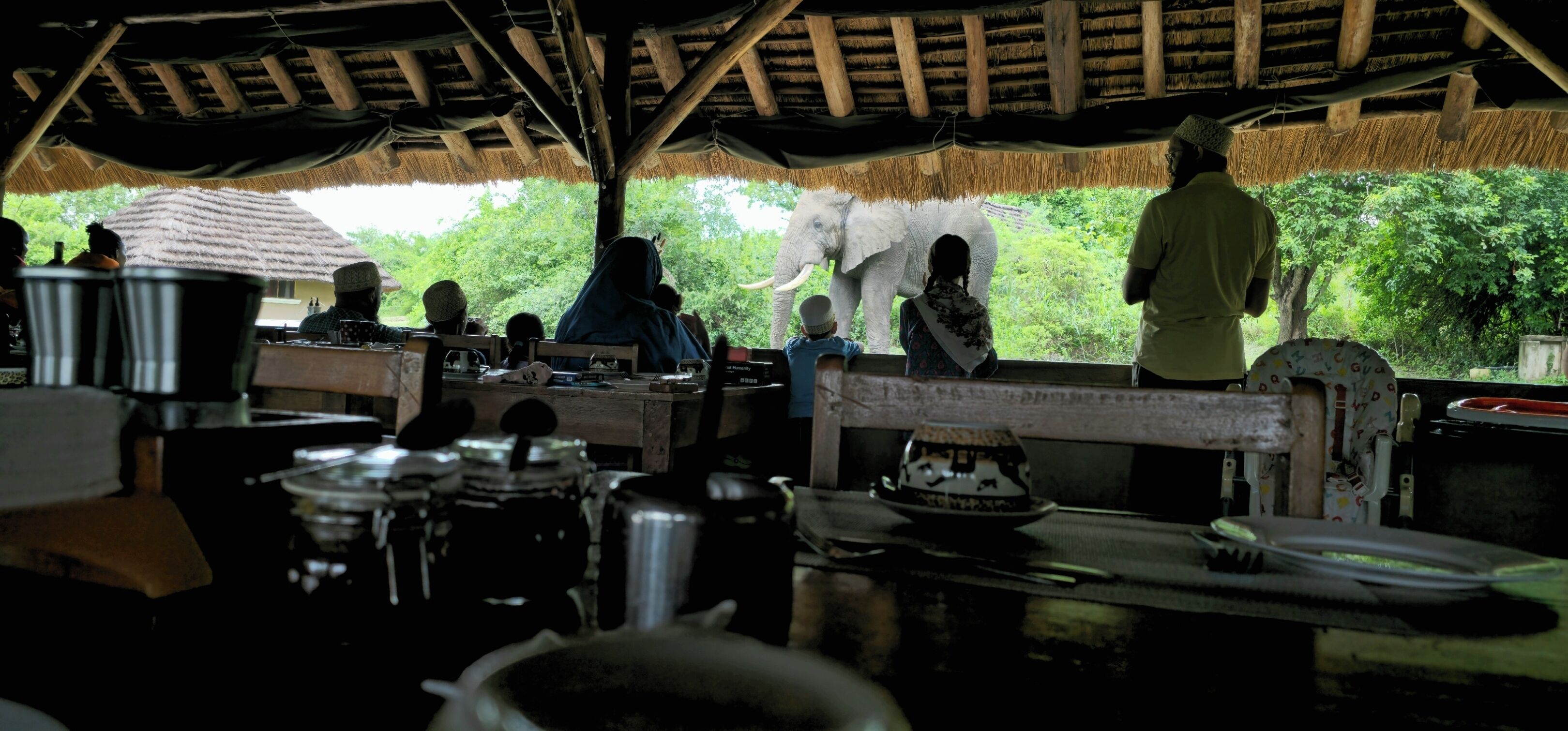 A rustic dining area with a thatched roof, wooden benches, and a large elephant visible through the window.