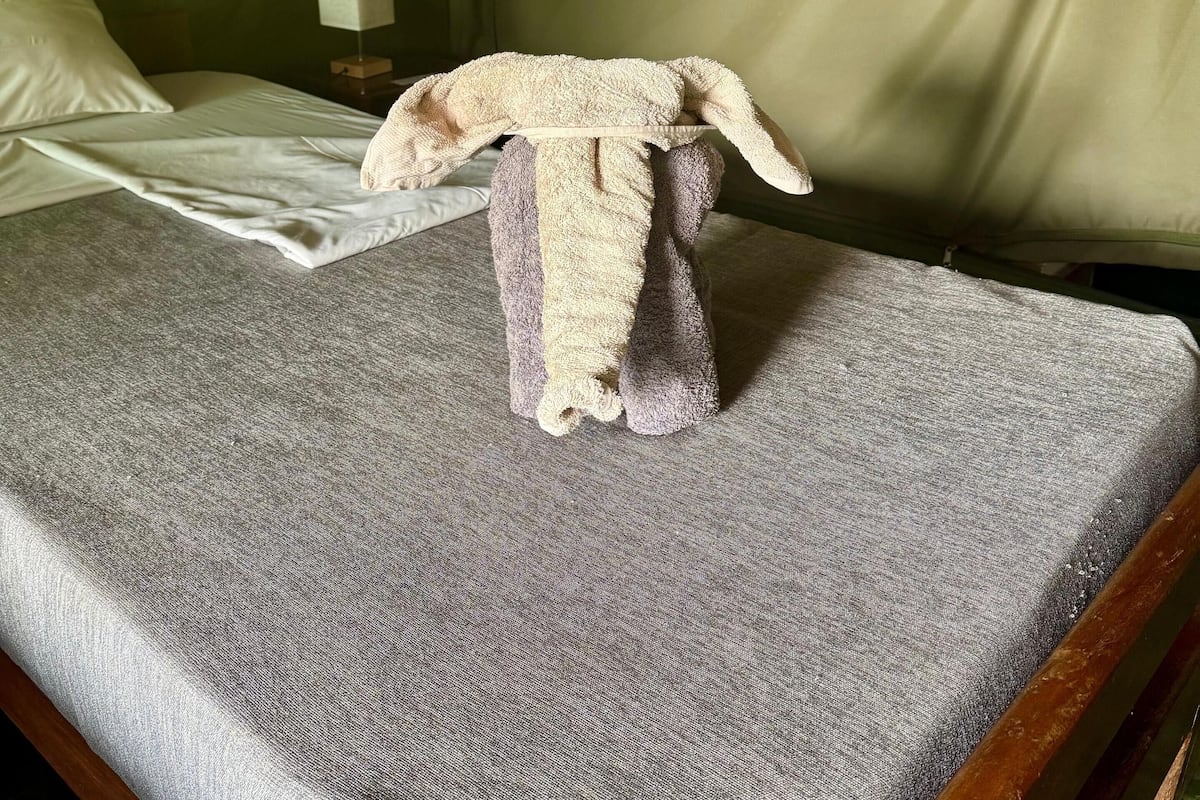 Un lit avec un drap gris, un oreiller blanc et une serviette en forme d’animal.