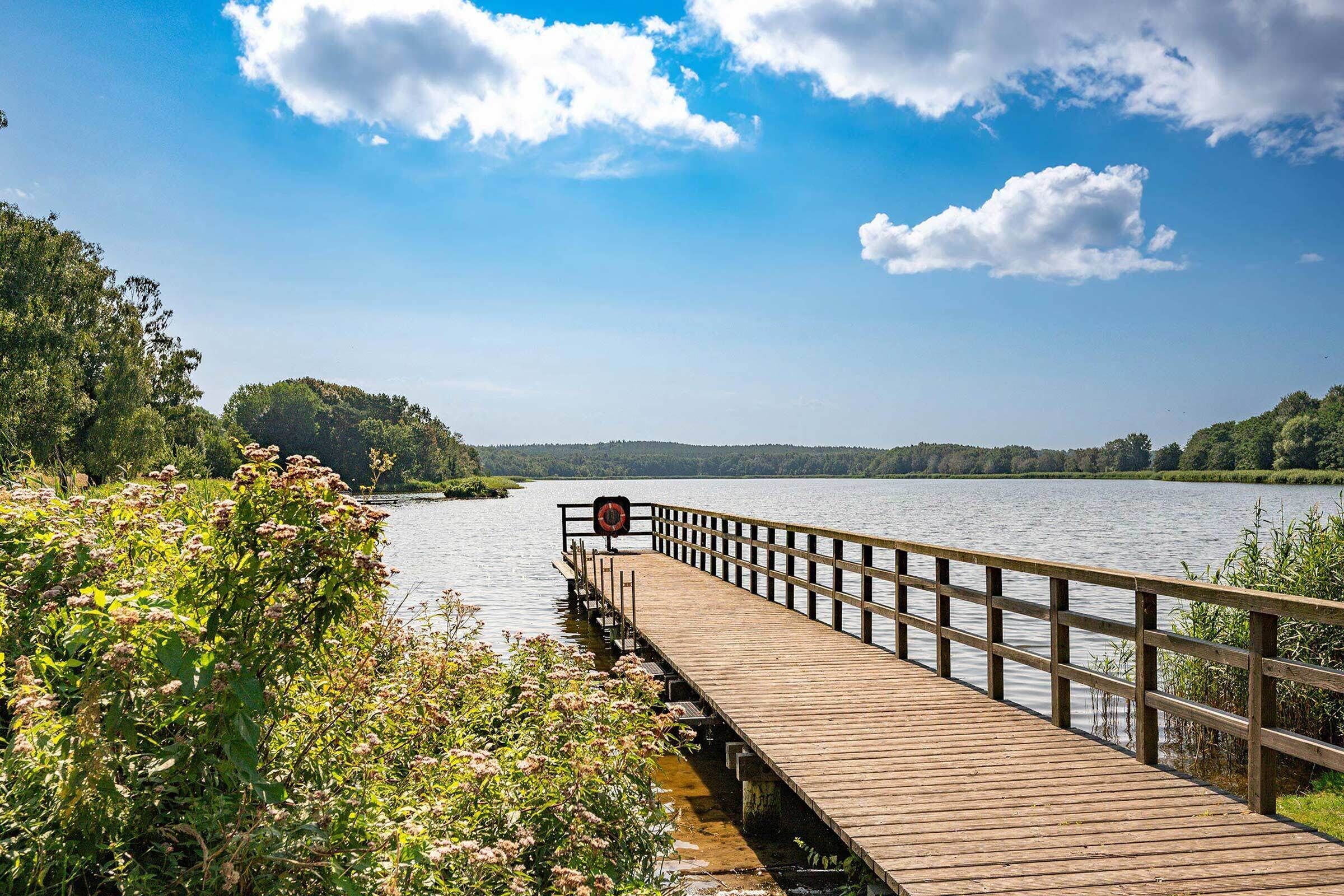 A wooden pier extending into a lake, surrounded by greenery.