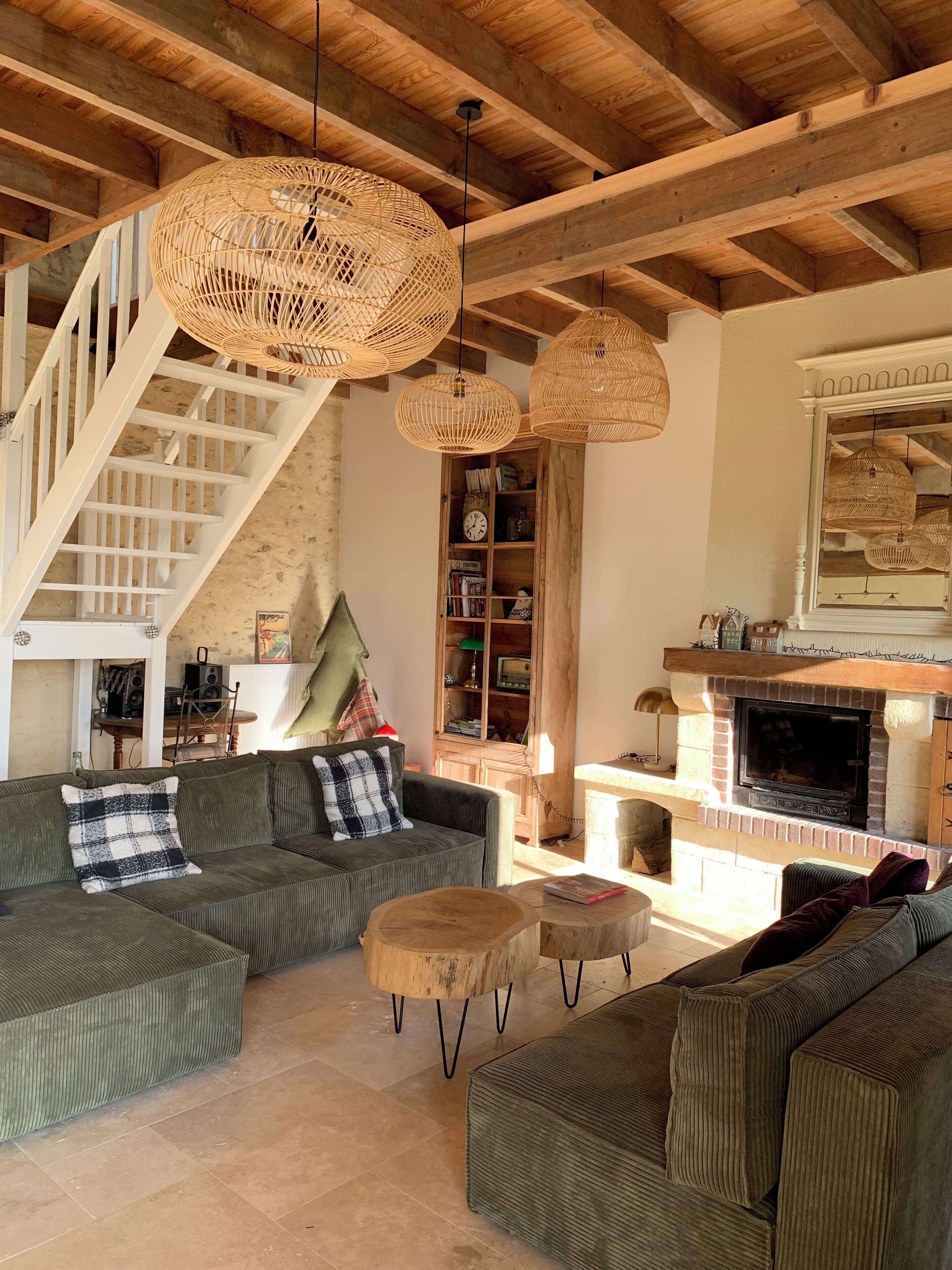 Télévision, cheminée, jeux vidéo, lecteur de DVD