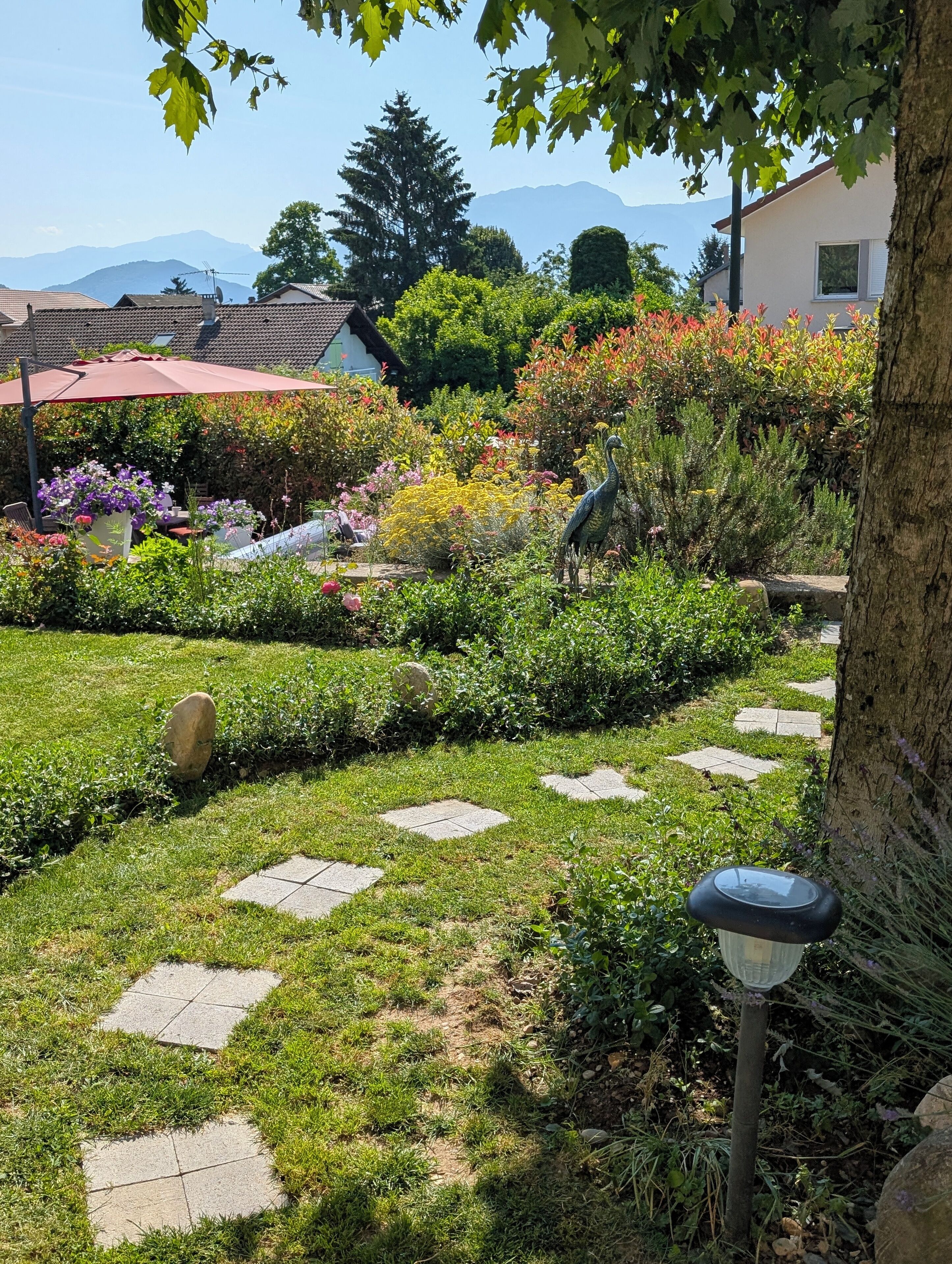 A garden with a stone pathway, various plants, and a statue.