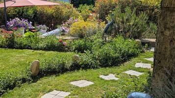 A garden with a stone pathway, various plants, and a statue.