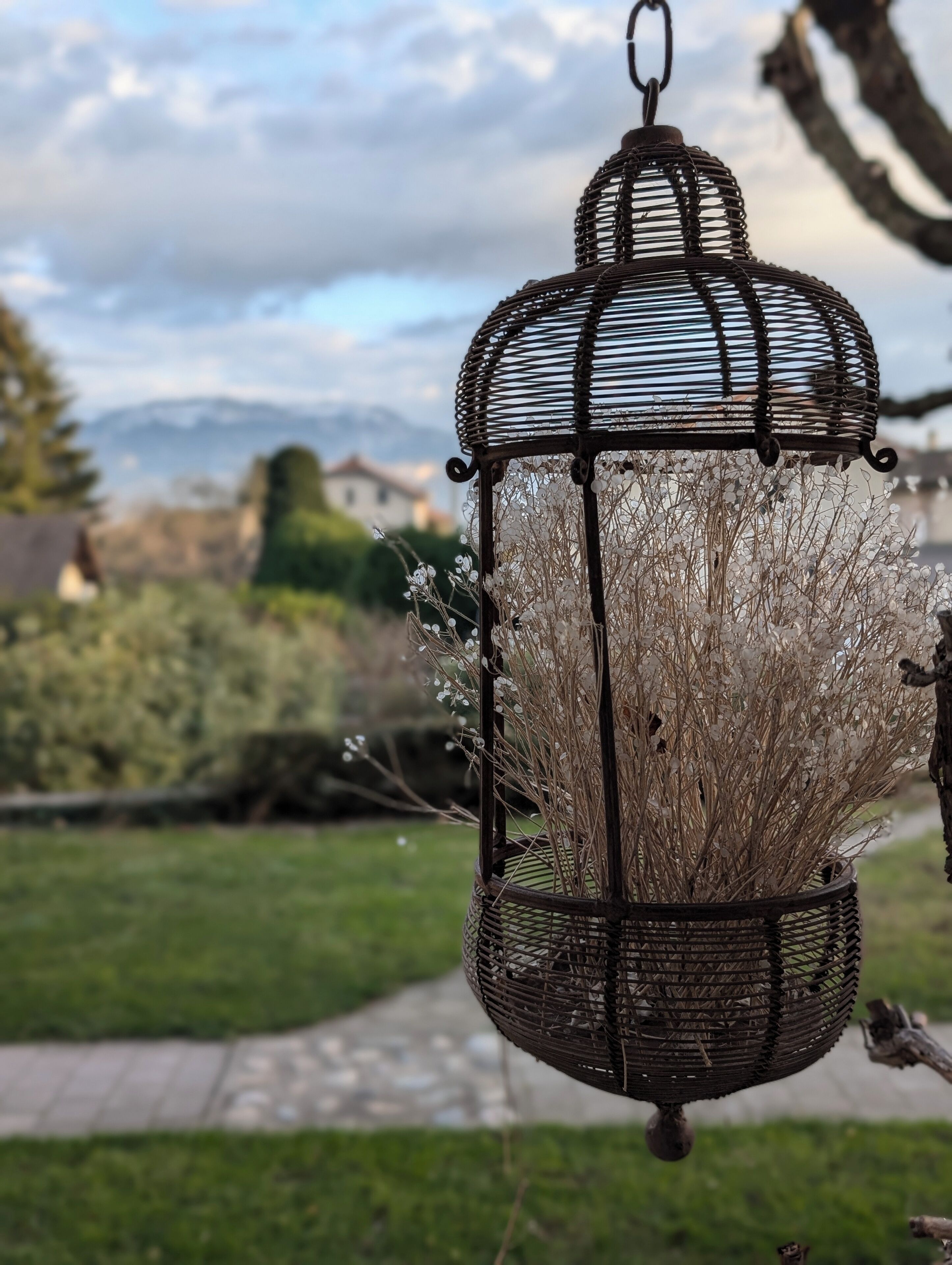 A hanging lantern with dried plants, set against a blurred outdoor background with greenery and a pathway.
