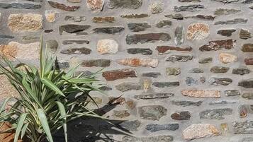 A stone wall with a potted plant in the foreground.