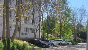Eine Wohnstraße mit parkenden Autos, Bäumen und einem Gebäude mit Fenstern.