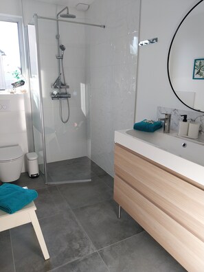 Shower, hair dryer, towels, soap