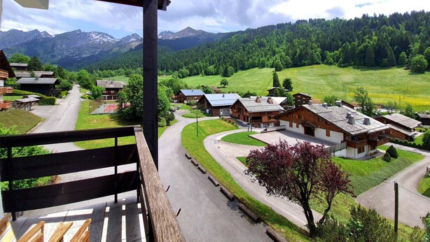 A mountain village with traditional wooden houses, a paved road, and a view of snow-capped mountains.