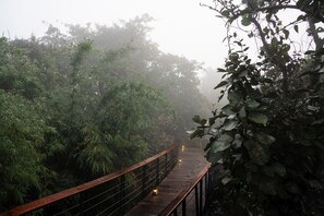 Exterior - Outpost 12 - A Sinali Experience - Kanha (Bichhiya)