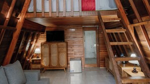 Een loft-achtige kamer met houten inrichting, een bank, een televisie, een kast en een kleine verwarming.