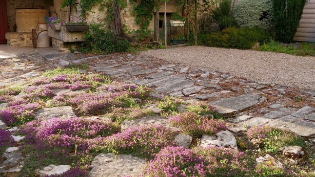 A stone-paved courtyard with a rustic stone wall, potted plants, and a wooden door.