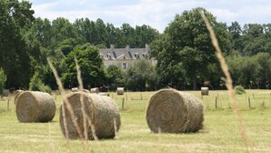 Hay bales in a field with a building in the background.